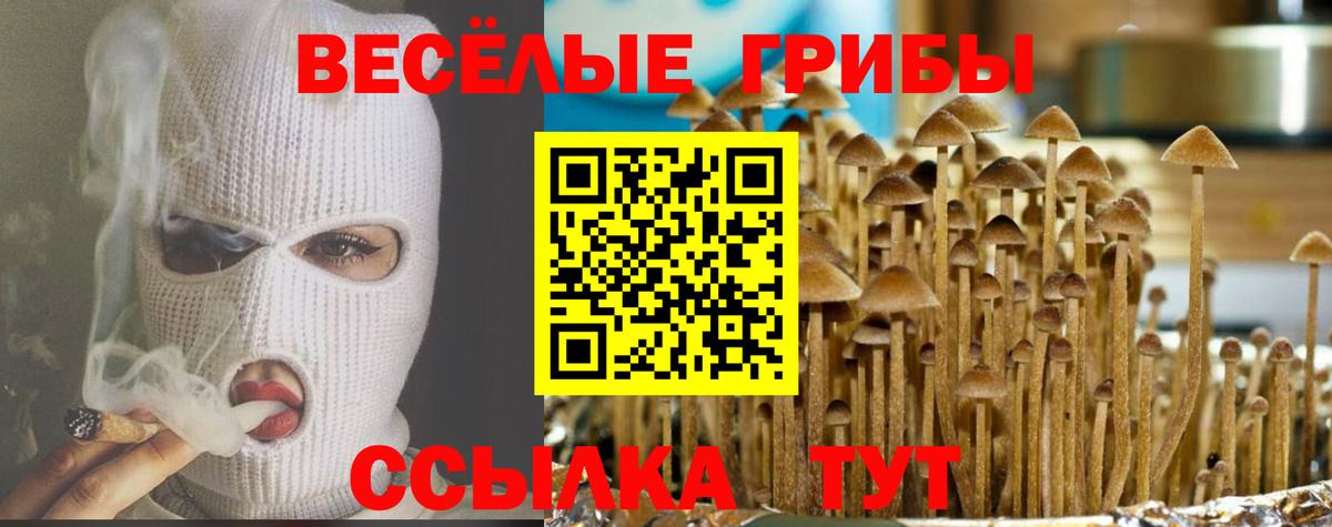 Галлюциногенные грибы ЛСД Новочебоксарск